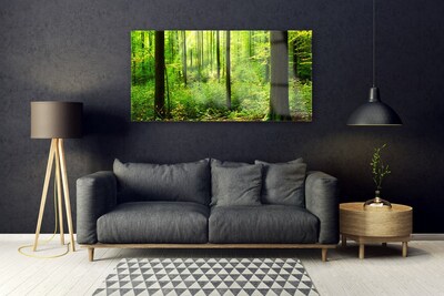 Quadro vetro Foresta Verde Alberi Natura