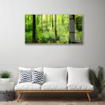 Quadro vetro Foresta Verde Alberi Natura