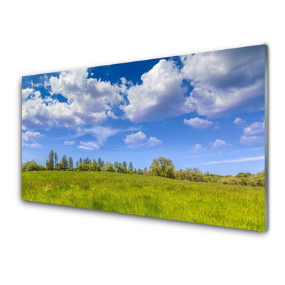 Quadro di vetro Prato Erba Cielo Paesaggio