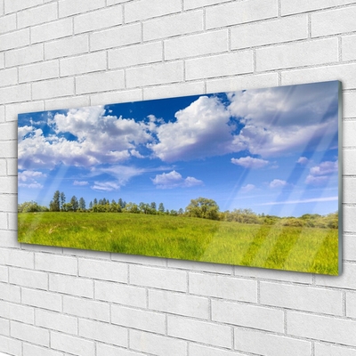 Quadro di vetro Prato Erba Cielo Paesaggio