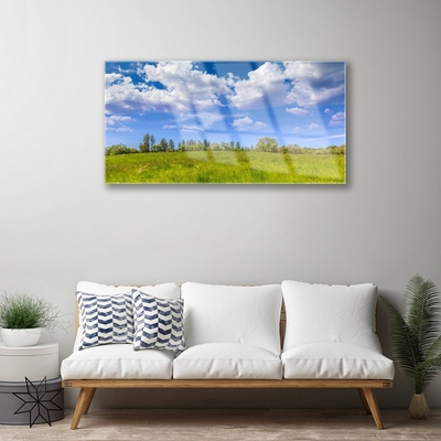 Quadro di vetro Prato Erba Cielo Paesaggio