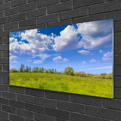 Quadro di vetro Prato Erba Cielo Paesaggio