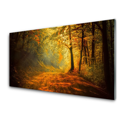 Quadro di vetro Sentiero forestale Alberi Natura