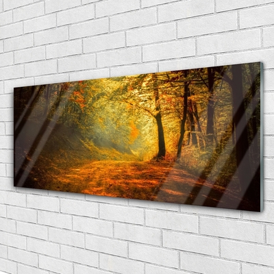 Quadro di vetro Sentiero forestale Alberi Natura