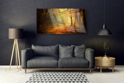 Quadro di vetro Sentiero forestale Alberi Natura