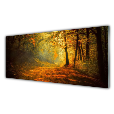 Quadro di vetro Sentiero forestale Alberi Natura