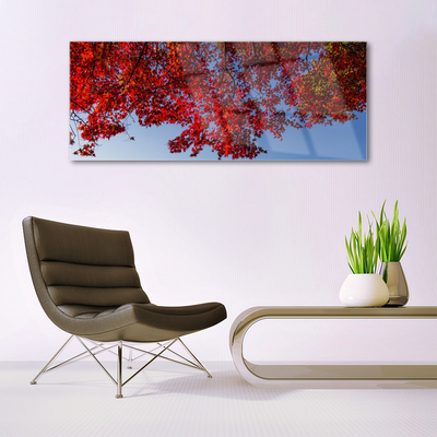 Quadro su vetro Albero Foglie Rami Natura