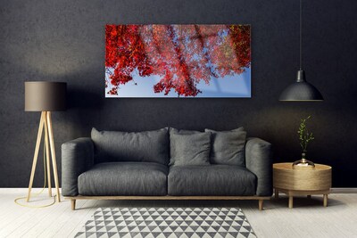 Quadro su vetro Albero Foglie Rami Natura