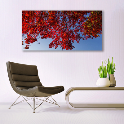 Quadro su vetro Albero Foglie Rami Natura