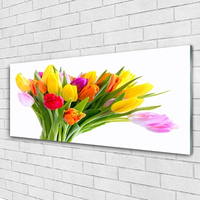 Quadro in vetro Tulipani Fiori Pianta