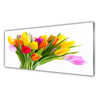 Quadro in vetro Tulipani Fiori Pianta