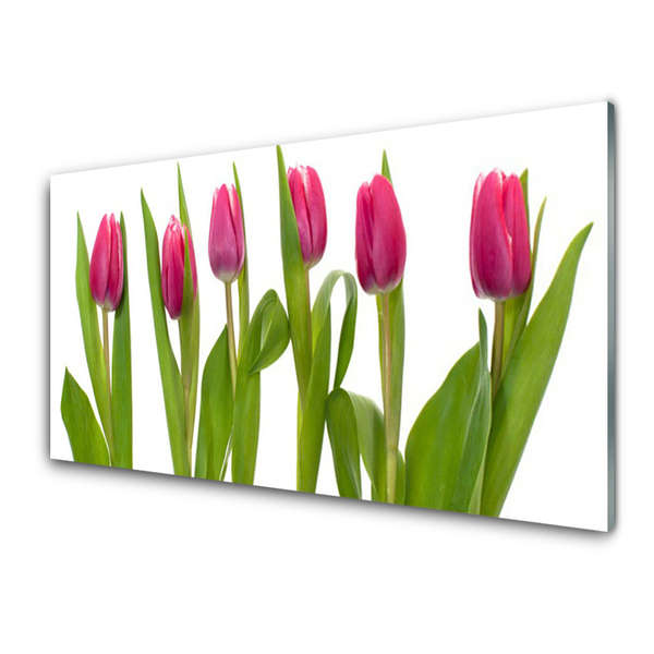 Quadro vetro Tulipani Fiori Pianta