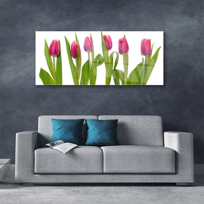 Quadro vetro Tulipani Fiori Pianta