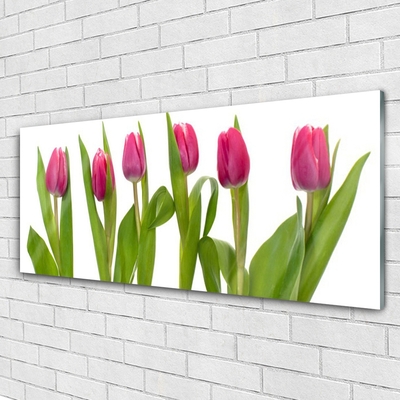 Quadro vetro Tulipani Fiori Pianta