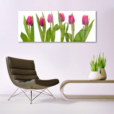 Quadro vetro Tulipani Fiori Pianta