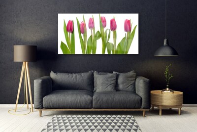 Quadro vetro Tulipani Fiori Pianta