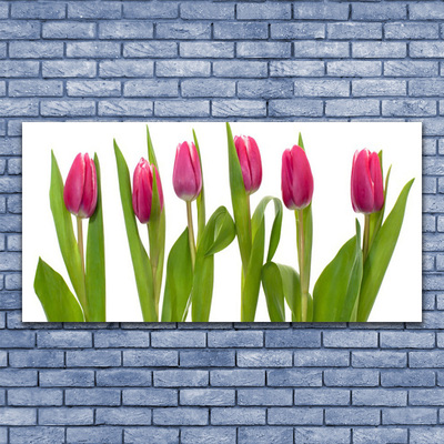 Quadro vetro Tulipani Fiori Pianta