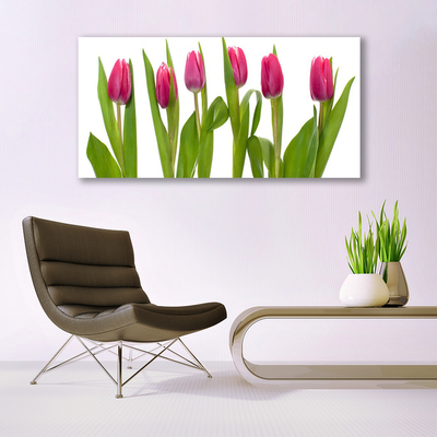 Quadro vetro Tulipani Fiori Pianta