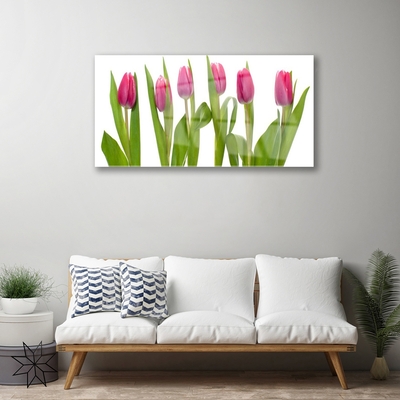 Quadro vetro Tulipani Fiori Pianta