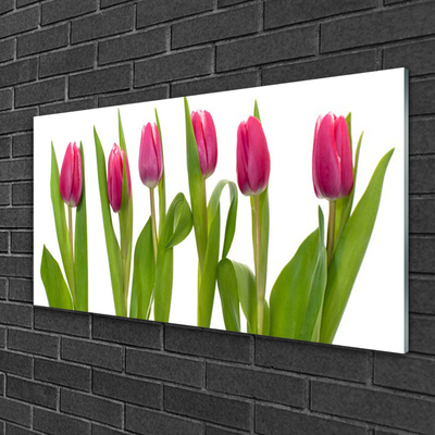 Quadro vetro Tulipani Fiori Pianta