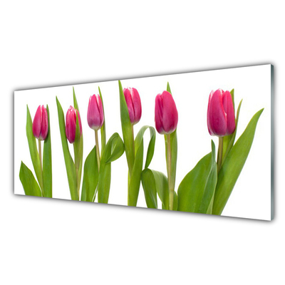 Quadro vetro Tulipani Fiori Pianta