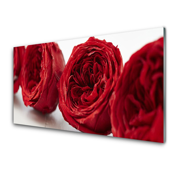 Quadro su vetro Rose Fiori Pianta