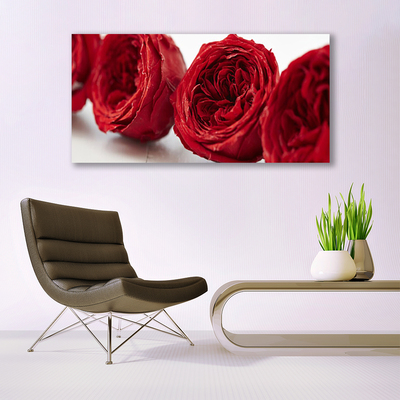 Quadro su vetro Rose Fiori Pianta