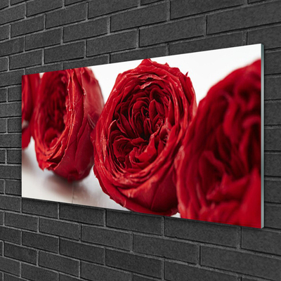 Quadro su vetro Rose Fiori Pianta