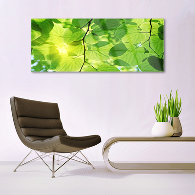 Quadro di vetro Foglia Natura Pianta