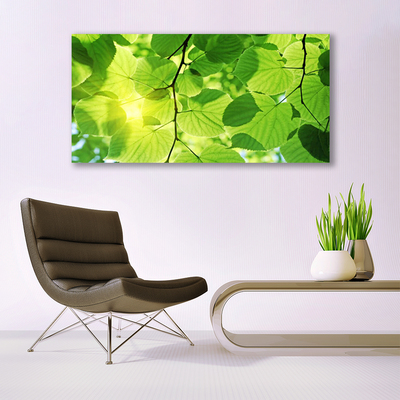 Quadro di vetro Foglia Natura Pianta