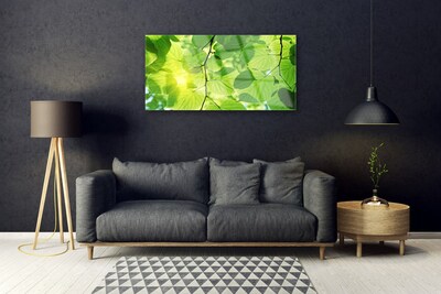 Quadro di vetro Foglia Natura Pianta