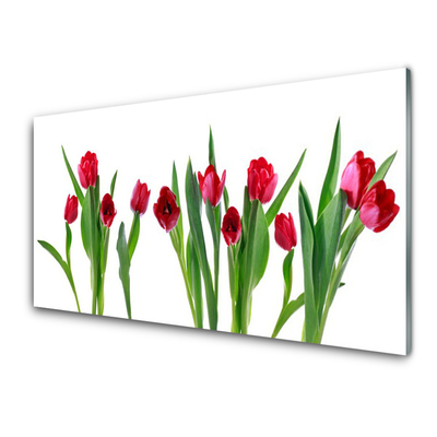 Quadro in vetro Tulipani Fiori Pianta