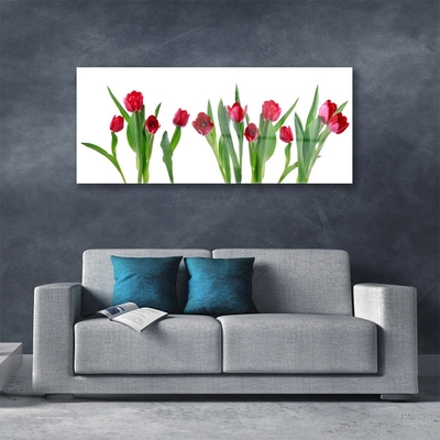 Quadro in vetro Tulipani Fiori Pianta