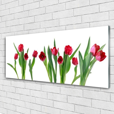 Quadro in vetro Tulipani Fiori Pianta