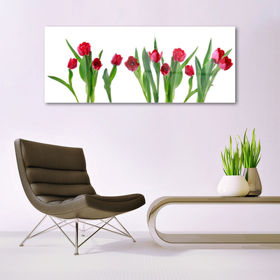 Quadro in vetro Tulipani Fiori Pianta