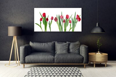 Quadro in vetro Tulipani Fiori Pianta