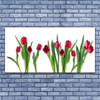 Quadro in vetro Tulipani Fiori Pianta