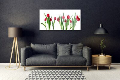 Quadro in vetro Tulipani Fiori Pianta