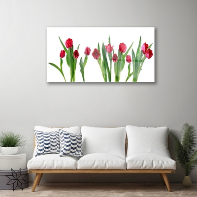 Quadro in vetro Tulipani Fiori Pianta