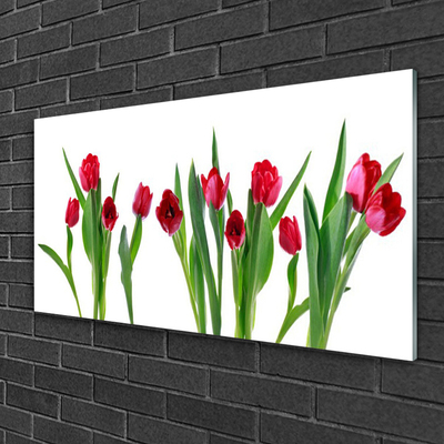 Quadro in vetro Tulipani Fiori Pianta