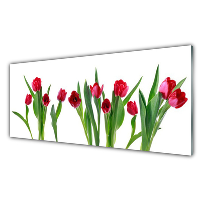 Quadro in vetro Tulipani Fiori Pianta