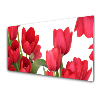 Quadro di vetro Tulipani Fiori Pianta