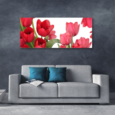 Quadro di vetro Tulipani Fiori Pianta