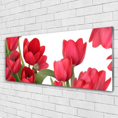 Quadro di vetro Tulipani Fiori Pianta