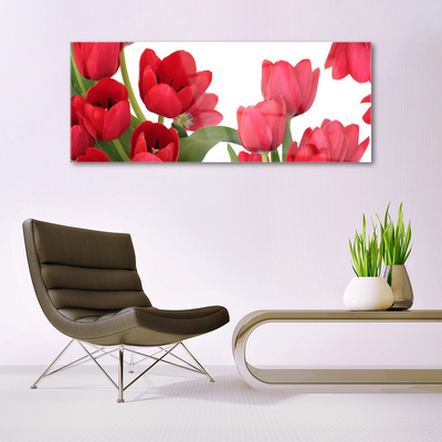 Quadro di vetro Tulipani Fiori Pianta