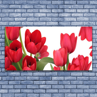 Quadro di vetro Tulipani Fiori Pianta