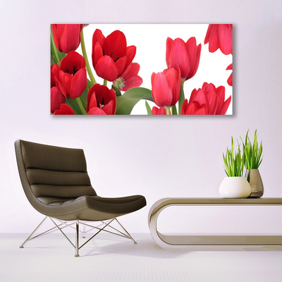 Quadro di vetro Tulipani Fiori Pianta