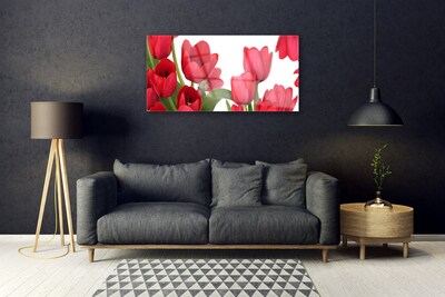 Quadro di vetro Tulipani Fiori Pianta