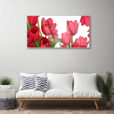 Quadro di vetro Tulipani Fiori Pianta