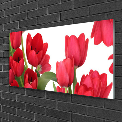 Quadro di vetro Tulipani Fiori Pianta